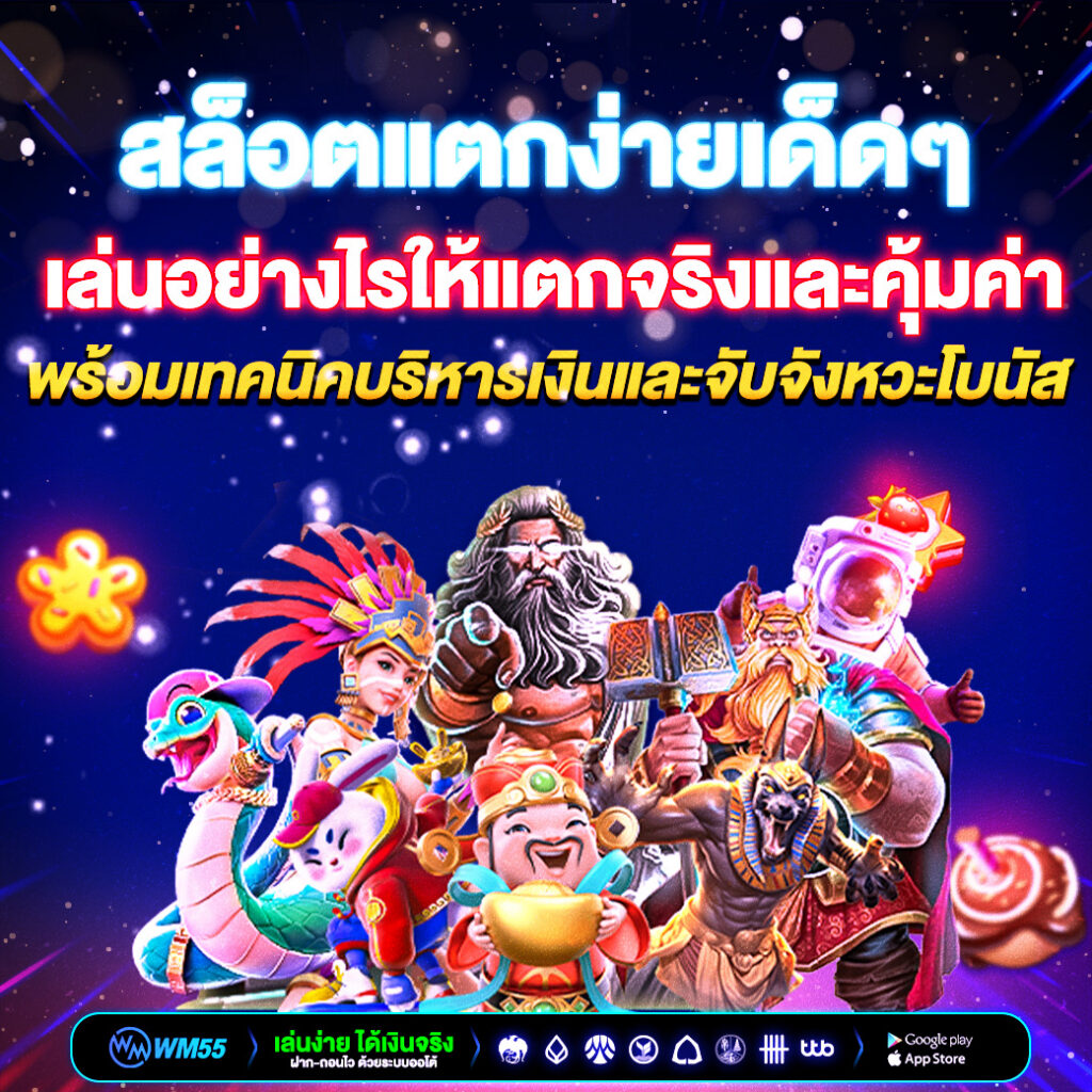 ความปลอดภัยในการใช้งาน WM55​